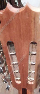 Bajo Quinto EA palo de rosa foto 6